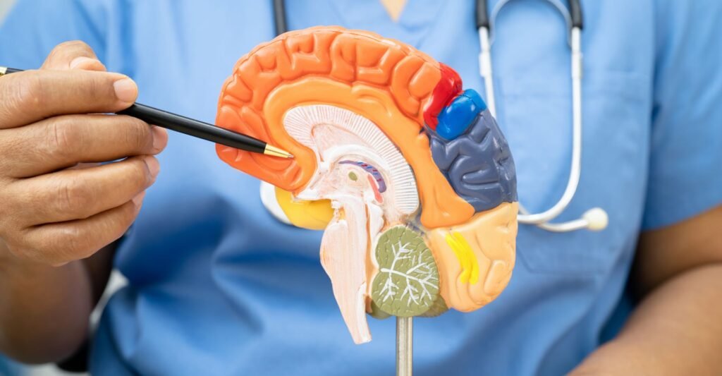 Doenças Neurodegenerativas: Entendendo o Alzheimer e o Parkinson ...
